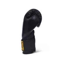 1910 Advanced Boxing Gloves 12 1910 Advanced Boxing Gloves -Boxing Apparel Hub 141474 DWBLK 03