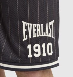 Pinstripe Mesh Court Shorts -Boxing Apparel Hub DWEMZ279A DWBLK 5