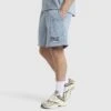 Field Mesh Shorts Vintage Sky