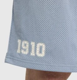 Field Mesh Shorts Vintage Sky -Boxing Apparel Hub DWEMZ280A DWBLU 5