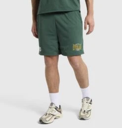 Field Mesh Shorts Forest