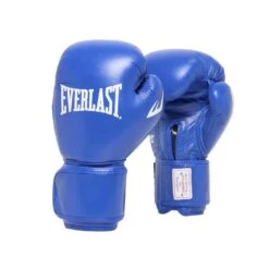 Amateur Competition Fight Gloves Blue